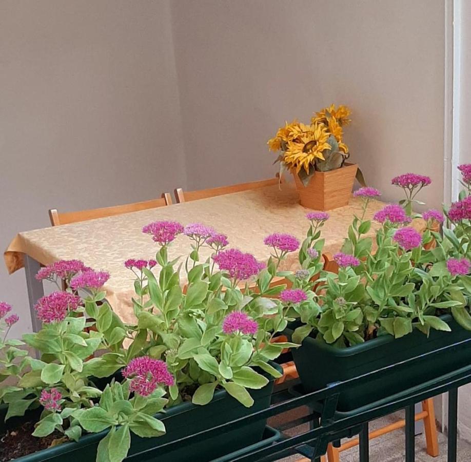 Ca' Dore Apartament *